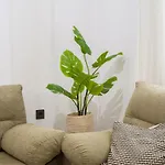Live Tirajana Shepherds House Apartment